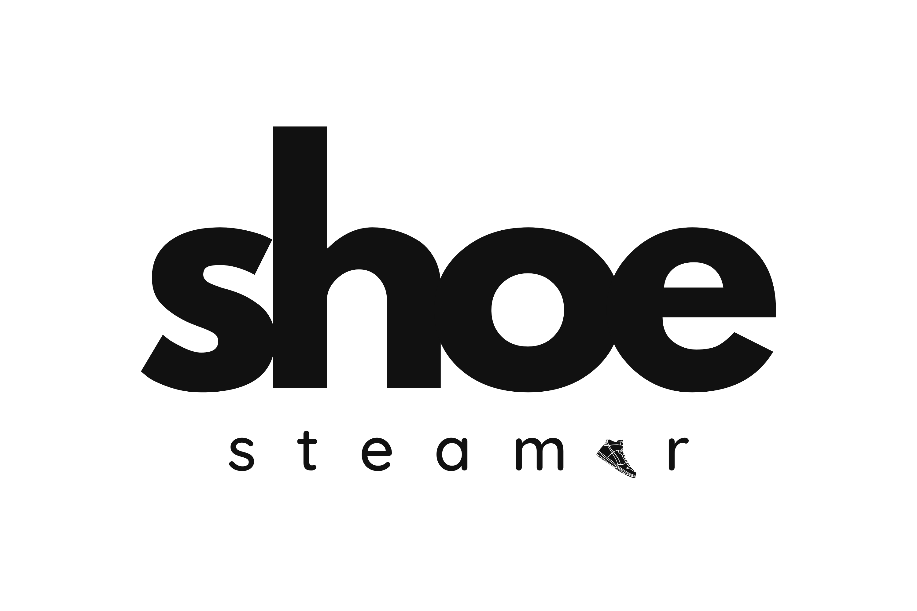 Shoe Steamer